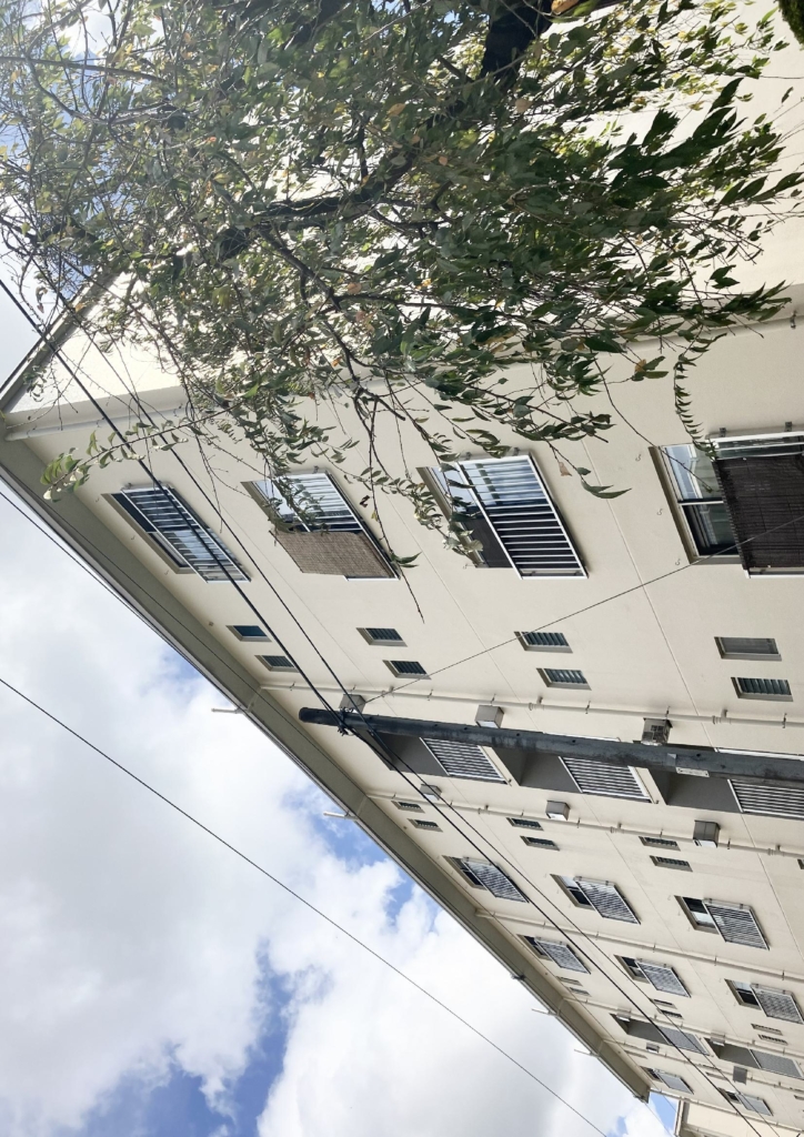 ペット飼育可能！便利な鴨居駅最寄りのリノベーション物件！