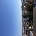 (その他画像) (その他画像)